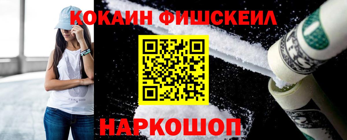 Губкинский  Cocaine  Вход с VPN  COCAIN Fish Scale 