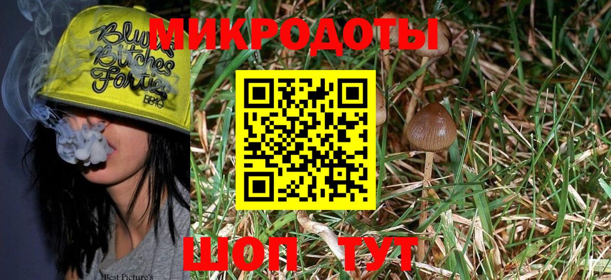 Псилоцибиновые грибы Psilocybe Губкинский
