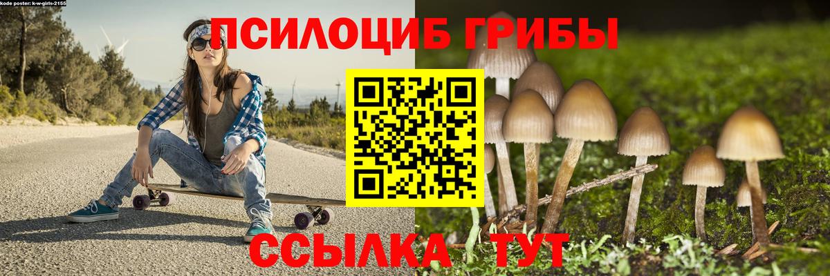 Галлюциногенные грибы MAGIC MUSHROOMS  Псилоцибиновые грибы прущие грибы  Губкинский  Вход с VPN 